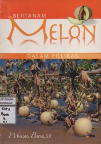 Image of Bertanam Melon Dalam Polibag