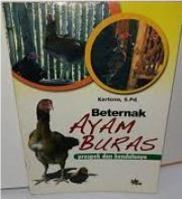 Image of Beternak Ayam Buras prospek dan kendalanya