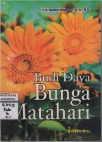 Image of Budi Daya Bunga Matahari